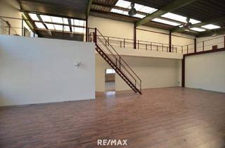 Büro zu mieten in 2325 Himberg, Halle, Schauraum, Tanzsaal, Autosalon...