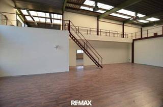 Büro zu mieten in 2325 Himberg, Halle, Schauraum, Tanzsaal, Autosalon...