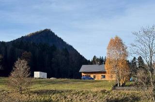 Grundstück zu kaufen in 4644 Scharnstein, Schöner Ausblick in die Berge - Hanglage !