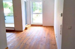 Wohnung mieten in 2020 Hollabrunn, Topmoderne Singlewohnung mit Loggia!