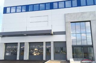 Büro zu mieten in Straße, 2351 Wiener Neudorf, PROVISIONSFREI - verschiedene Büro-Lager-Kombinationen möglich!