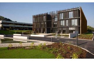 Büro zu mieten in Pummerinfeld 1b, 4490 Sankt Florian, Attraktives Büro in zentraler Lage