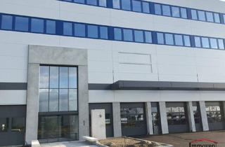 Büro zu mieten in Straße, 2351 Wiener Neudorf, PROVISIONSFREI - Büros und Lagerflächen in verschiedenen Größen zu vermieten!