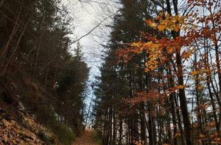 Gewerbeimmobilie kaufen in 8102 Semriach, 3,25 ha Wald nahe Schöckl