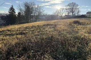Grundstück zu kaufen in Obere Höhenstraße, 7203 Wiesen, großer, sonniger Baugrund mit Fernsicht zu verkaufen - auch für Bauträger geeignet