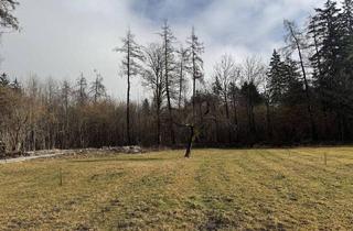 Grundstück zu kaufen in Grünsbach, 122, 6232 Münster, Traum Grundstück ruhig, sonnig am Waldrand - keine Maklerprovision