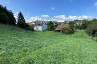 Grundstück zu kaufen in Hauptstraße, 3012 Wolfsgraben, Tolles Baugrundstück in Wolfsgraben