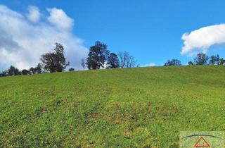 Gewerbeimmobilie kaufen in 8162 Passail, Sonniges Baugrundstück im steirischen Almenland nahe dem Golfplatz!
