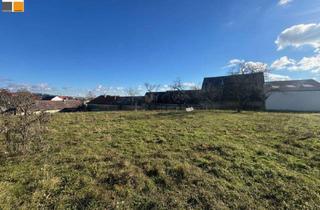 Haus kaufen in Kleinhöfleiner Hauptstraße, 7000 Eisenstadt, ++ Streckhof mit über 4000m² Baugrund und 2 Zufahrten in schöner Südlage I MB IMMOBILIEN ++