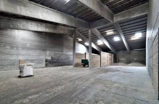 Gewerbeimmobilie kaufen in 4063 Hörsching, ++ RARITÄT ++ Lagerhallen mit 2 Bürohäusern in Bestlage!