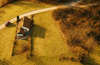 Grundstück zu kaufen in 3261 Steinakirchen am Forst, Baugrundstück in Ernegg – Traumhafte Aussichtslage am Stadtrand