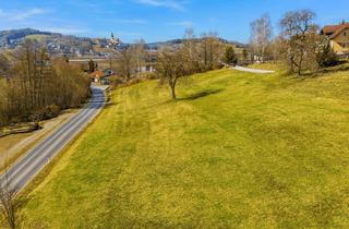 Grundstück zu kaufen in 3261 Steinakirchen am Forst, Bauträgerobjekt in Steinakirchen am Forst ca. 5.100m² Bauland zum Entwickeln