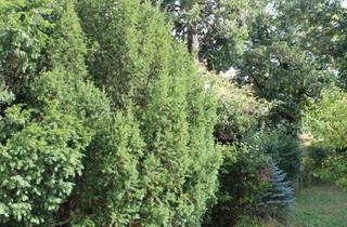 Wohnung kaufen in Leitengasse, 1230 Wien, Exklusives Eigentumsobjekt in 1A Grünruhelage (Mauer im Grenzbereich zum 13. Bez. Hietzing)