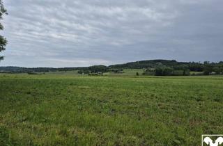 Grundstück zu kaufen in 4070 Fraham, Landwirtschaftlicher Nutzgrund Acker Fraham