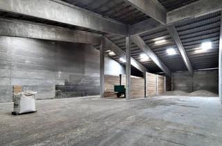 Lager kaufen in Industrielle Umgebung, Zug, Flughafen, Autobahn, Pasching, Hörsching, Linz, 4063 Hörsching, ++ RARITÄT ++ Lagerhallen mit 2 Bürohäusern in Bestlage!