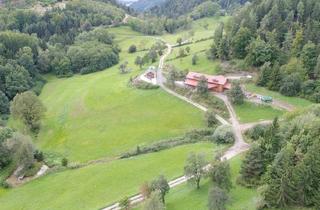 Immobilie kaufen in 9372 Gutschen, Kärnten - nähe Brückl "ca. 65 ha große Selbstversorger Liegenschaft" - Blackout sicher - eigene Stromversorgung - Wasserquellen und Top allein Lage
