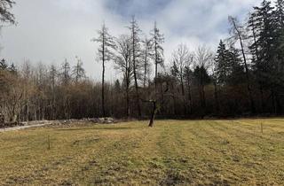 Grundstück zu kaufen in Grünsbach, 122, 6232 Münster, Traum Grundstück ruhig, sonnig am Waldrand - keine Maklerprovision