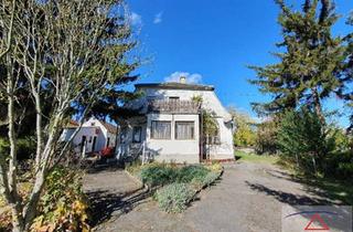 Grundstück zu kaufen in 2193 Wilfersdorf, Großzügiges Grundstück mit Wohnhaus im Weinviertel!