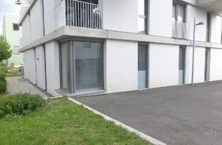 Wohnung kaufen in 1120 Wien, NEUER PREIS! - 5-Zimmer-Wohnung - Homeoffice/Büro/Ordination möglich - 2 Eingänge - im attraktiven Wildgarten-Viertel - Provisionsfrei