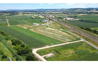 Grundstück zu kaufen in 3451 Michelhausen, Betriebsbauliegenschaft nahe Bahnhof Tullnerfeld
