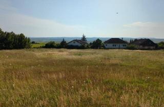 Grundstück zu kaufen in 3580 Horn, 10 EBENE BAUPARZELLEN IN DER NÄHE VON HORN UND MAISSAU