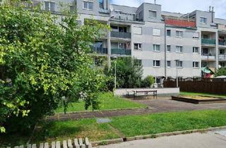 Wohnung kaufen in Dückegasse 7/2/7, 1220 Wien, Gartenwohnung mit Perspektive