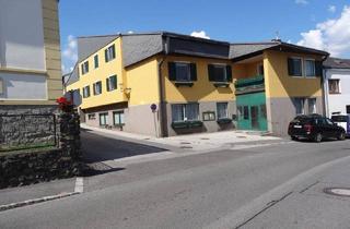 Gewerbeimmobilie kaufen in 2811 Wiesmath, 2811 Wiesmath - sehr interessantes Bauträger- und Anlage Objekt mit ca 700m² Nutzfläche !!