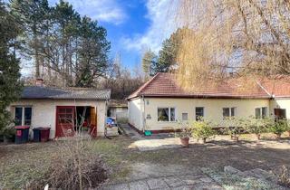 Einfamilienhaus kaufen in 2551 Enzesfeld-Lindabrunn, Traumgrund neben dem Wald mit sanierungsbedürftigem Althausbestand