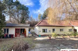 Einfamilienhaus kaufen in 2551 Enzesfeld-Lindabrunn, Traumgrund neben dem Wald mit sanierungsbedürftigem Althausbestand