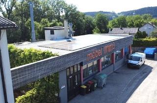 Gewerbeimmobilie kaufen in 2630 Ternitz, Betriebshalle mit Lackieranlage