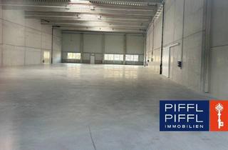 Büro zu mieten in 4061 Pasching, Moderne Gewerbefläche in Top-Lage in Pasching, 1.091m² Halle mit 257m² Büro!