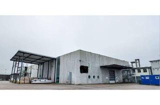 Gewerbeimmobilie mieten in Mitte 68, 9125 Kühnsdorf, Moderne Lagerhalle mit 2701 m² und 8 m Raumhöhe ab 01.06.2026 verfügbar