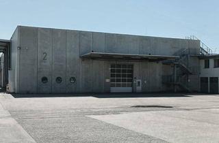 Gewerbeimmobilie mieten in Mitte 68, 9125 Kühnsdorf, Moderne Lagerhalle mit 2701 m² und 8 m Raumhöhe ab sofort verfügbar
