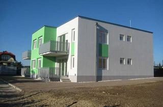 Wohnung mieten in 7304 Großwarasdorf, Wohnung in Großwarasdorf