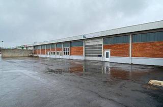 Büro zu mieten in 4400 Steyr, Halle in Betriebsbaugebiet