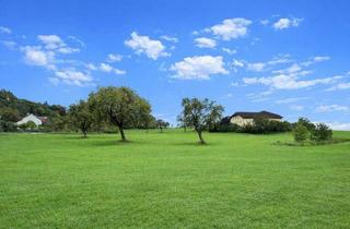 Grundstück zu kaufen in 4040 Pöstlingberg, Grundstück am Pöstlingberg mit unverbaubaren Fernblick