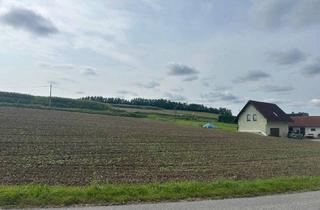 Grundstück zu kaufen in Wieshofer Straße, 4631 Krenglbach, Gewerbegrundstück mit MB Widmung direkt an die Hauptstrasse B 137 angrenzend