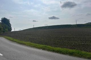 Grundstück zu kaufen in Wieshofer Straße, 4631 Krenglbach, Gewerbegrundstück mit MB Widmung direkt an die Hauptstrasse B 137 angrenzend