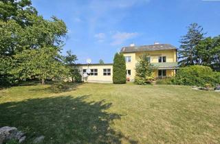 Grundstück zu kaufen in 2620 Neunkirchen, Großzügiges Entwicklungs- und Wohnobjekt mit 4.252 m² Grundstück in 2620 Neunkirchen