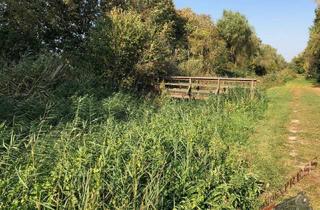 Grundstück zu kaufen in 2433 Margarethen am Moos, Großes Grundstück für maximal 2 Wohneinheiten in Margarethen am Moos !