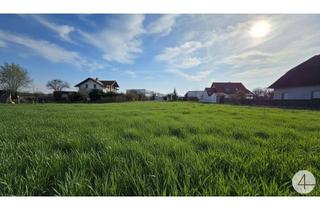 Grundstück zu kaufen in 3500 Krems an der Donau, Top-Baugrund in verkehrsberuhigter Siedlung