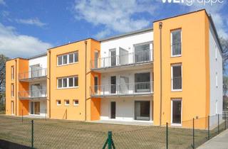 Wohnung mieten in Wasenbruck Hauptstraße 29/4/8, 2452 Mannersdorf am Leithagebirge, Wasenbruck | Geförderte Miete mit Kaufoption | TOP 4/8 | 1. OG mit Balkon