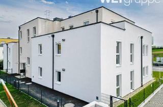 Wohnung mieten in Keltenweg 6/10, 2151 Asparn an der Zaya, Asparn/Zaya | Geförderte Miete mit Kaufoption | Top 6/10 | 2.OG | 2 Balkone und Dachterrasse