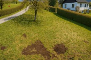 Grundstück zu kaufen in 3261 Steinakirchen am Forst, Ihr Baugrund für Ihr neues Tinyhouse