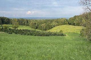 Grundstück zu kaufen in Maxlonerstraße, 8430 Maxlon, Idyllisches Grundstück mit unverbaubarem Fernblick