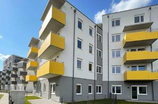 Wohnung mieten in Stadionstraße, 2700 Wiener Neustadt, Erstbezug "ein viertel grün" – hochwertige Neubauwohnung mit Balkon & Tiefgarage