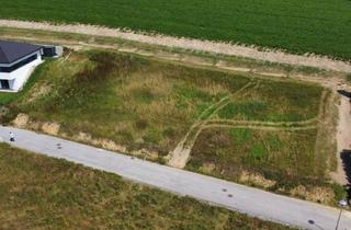Grundstück zu kaufen in 4710 Tollet, Ihr 873 m² Großes Traumgrundstück - Willkommen in der Malerischen Gemeinde Tollet