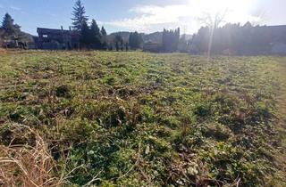 Grundstück zu kaufen in 8463 Leutschach, Sonniges Grundstück im Ortskern mit viel Potenzial in Leutschach a.d. Weinstraße