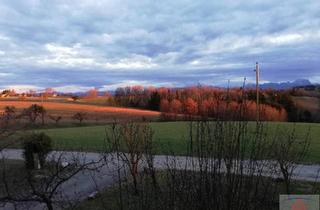 Grundstück zu kaufen in 3133 Sankt Georgen an der Traisen, Grundstück mit ca. 8.400m²