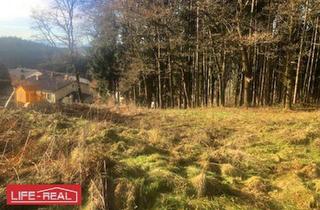Grundstück zu kaufen in 4843 Ampflwang, Am Wald grenzendes Baugrundstück